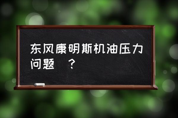 吉林康明斯柴油發(fā)電機(jī)組更換機(jī)油 東風(fēng)康明斯機(jī)油壓力問(wèn)題_？