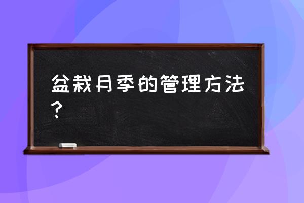 盆栽月季方法和注意事項 盆栽月季的管理方法? 盆栽月季方法和注意事項 盆栽月季的管理方法?
