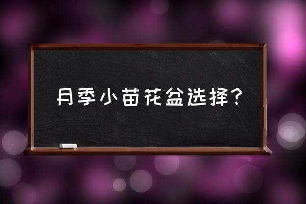 花盆選擇哪種最好 月季小苗花盆選擇？