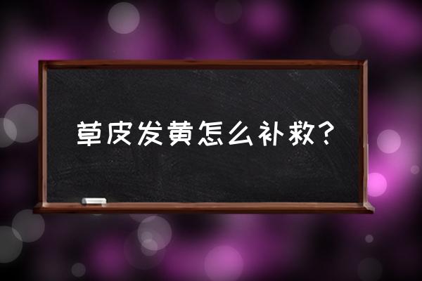 草坪枯黃怎么補(bǔ)救 草皮發(fā)黃怎么補(bǔ)救? 草坪枯黃怎么補(bǔ)救 草皮發(fā)黃怎么補(bǔ)救?