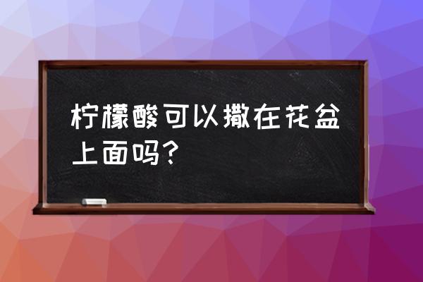 花盆撒什么東西不黃葉不爛根 檸檬酸可以撒在花盆上面嗎？