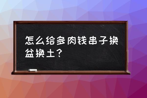 自制多肉花盆方法及圖片大全集 怎么給多肉錢串子換盆換土? 自制多肉花盆方法及圖片大全集 怎么給多肉錢串子換盆換土?