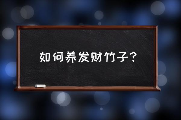富貴竹怎么養才會好 如何養發財竹子? 富貴竹怎么養才會好 如何養發財竹子?